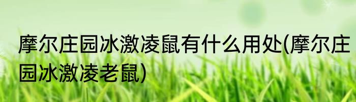 摩尔庄园冰激凌鼠有什么用处(摩尔庄园冰激凌老鼠)