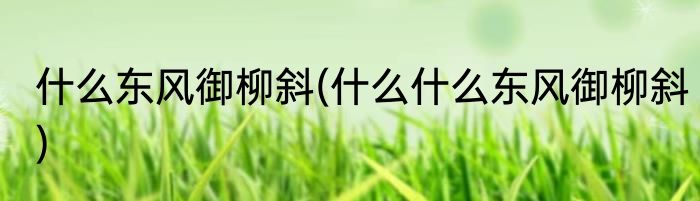 什么东风御柳斜(什么什么东风御柳斜)