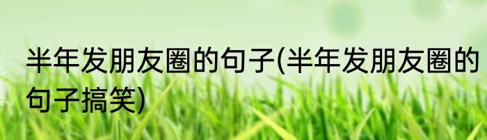 半年发朋友圈的句子(半年发朋友圈的句子搞笑)