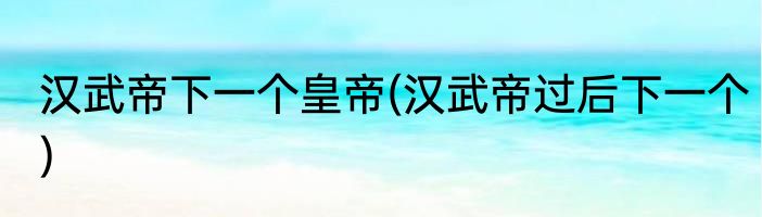 汉武帝下一个皇帝(汉武帝过后下一个)