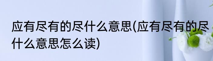 应有尽有的尽什么意思(应有尽有的尽什么意思怎么读)