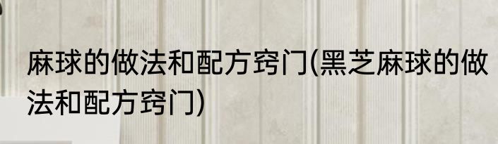 麻球的做法和配方窍门(黑芝麻球的做法和配方窍门)