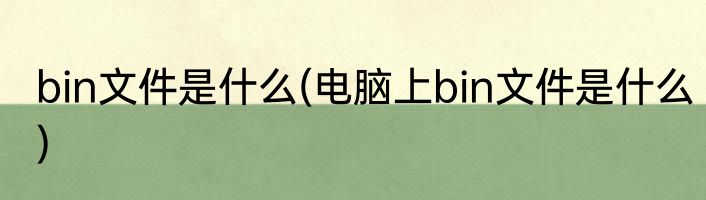bin文件是什么(电脑上bin文件是什么)