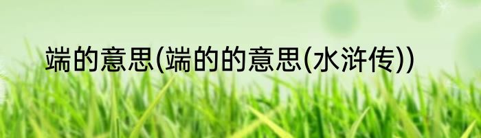 端的意思(端的的意思(水浒传))