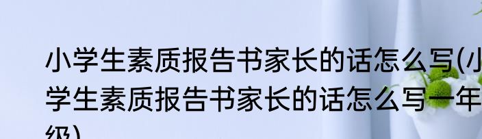 小学生素质报告书家长的话怎么写(小学生素质报告书家长的话怎么写一年级)