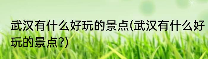 武汉有什么好玩的景点(武汉有什么好玩的景点?)