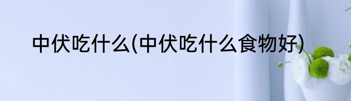中伏吃什么(中伏吃什么食物好)