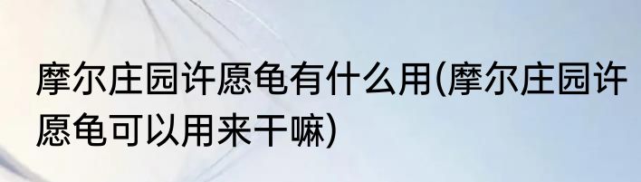 摩尔庄园许愿龟有什么用(摩尔庄园许愿龟可以用来干嘛)