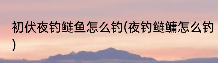 初伏夜钓鲢鱼怎么钓(夜钓鲢鳙怎么钓)