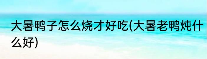 大暑鸭子怎么烧才好吃(大暑老鸭炖什么好)