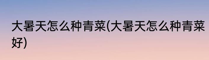 大暑天怎么种青菜(大暑天怎么种青菜好)