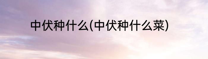 中伏种什么(中伏种什么菜)