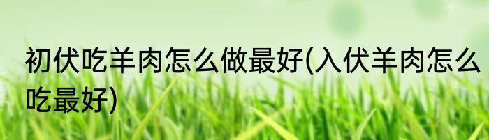 初伏吃羊肉怎么做最好(入伏羊肉怎么吃最好)