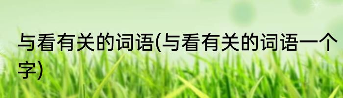 与看有关的词语(与看有关的词语一个字)