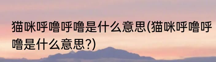 猫咪呼噜呼噜是什么意思(猫咪呼噜呼噜是什么意思?)