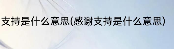 支持是什么意思(感谢支持是什么意思)