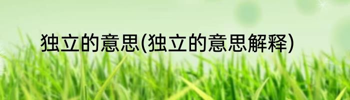 独立的意思(独立的意思解释)