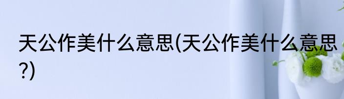 天公作美什么意思(天公作美什么意思?)