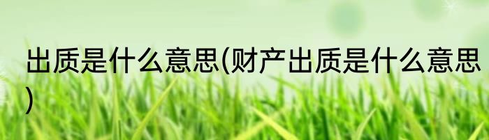 出质是什么意思(财产出质是什么意思)
