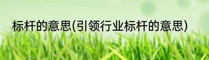标杆的意思(引领行业标杆的意思)