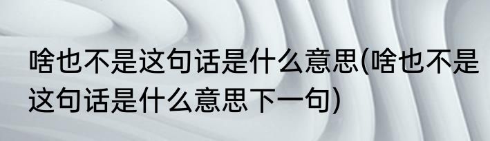 啥也不是这句话是什么意思(啥也不是这句话是什么意思下一句)