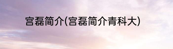 宫磊简介(宫磊简介青科大)