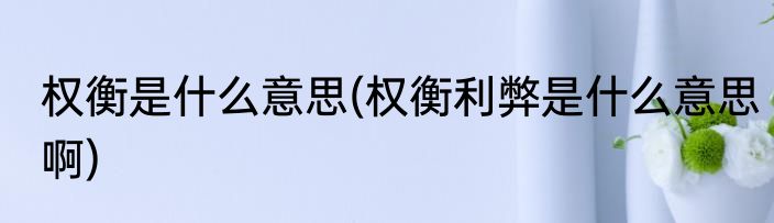 权衡是什么意思(权衡利弊是什么意思啊)