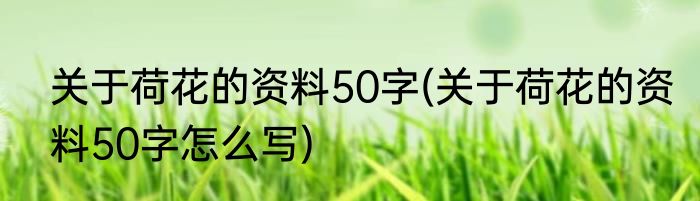 关于荷花的资料50字(关于荷花的资料50字怎么写)