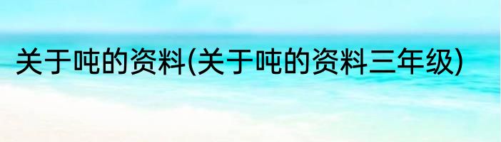 关于吨的资料(关于吨的资料三年级)