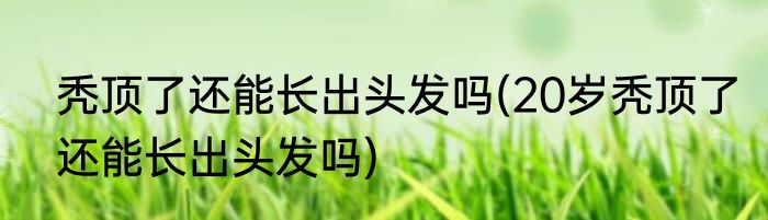 秃顶了还能长出头发吗(20岁秃顶了还能长出头发吗)
