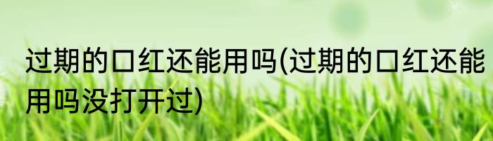 过期的口红还能用吗(过期的口红还能用吗没打开过)