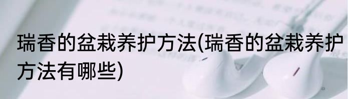 瑞香的盆栽养护方法(瑞香的盆栽养护方法有哪些)