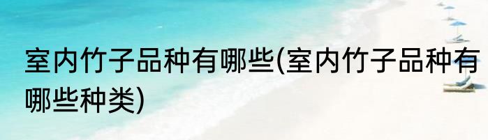 室内竹子品种有哪些(室内竹子品种有哪些种类)
