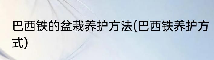巴西铁的盆栽养护方法(巴西铁养护方式)