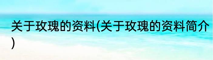 关于玫瑰的资料(关于玫瑰的资料简介)