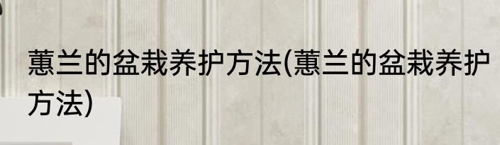 蕙兰的盆栽养护方法(蕙兰的盆栽养护方法)