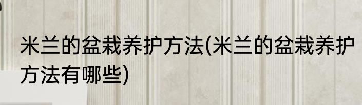 米兰的盆栽养护方法(米兰的盆栽养护方法有哪些)