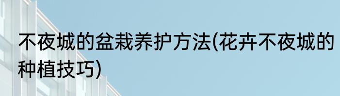不夜城的盆栽养护方法(花卉不夜城的种植技巧)
