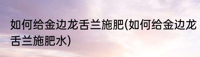 如何给金边龙舌兰施肥(如何给金边龙舌兰施肥水)