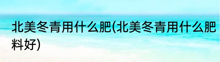 北美冬青用什么肥(北美冬青用什么肥料好)