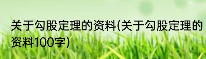 关于勾股定理的资料(关于勾股定理的资料100字)