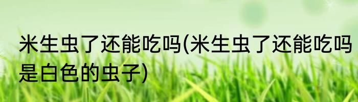 米生虫了还能吃吗(米生虫了还能吃吗是白色的虫子)