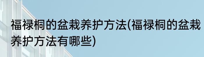 福禄桐的盆栽养护方法(福禄桐的盆栽养护方法有哪些)