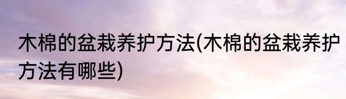 木棉的盆栽养护方法(木棉的盆栽养护方法有哪些)