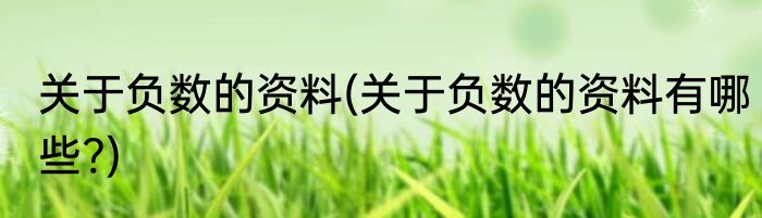 关于负数的资料(关于负数的资料有哪些?)
