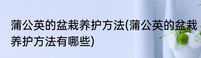 蒲公英的盆栽养护方法(蒲公英的盆栽养护方法有哪些)