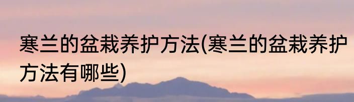 寒兰的盆栽养护方法(寒兰的盆栽养护方法有哪些)