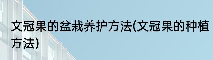 文冠果的盆栽养护方法(文冠果的种植方法)