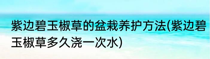 紫边碧玉椒草的盆栽养护方法(紫边碧玉椒草多久浇一次水)