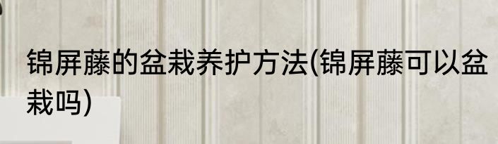 锦屏藤的盆栽养护方法(锦屏藤可以盆栽吗)